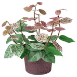 SMÅTÄRNA artificial potted plant, paper/Asiatic jasmine, 10 cm