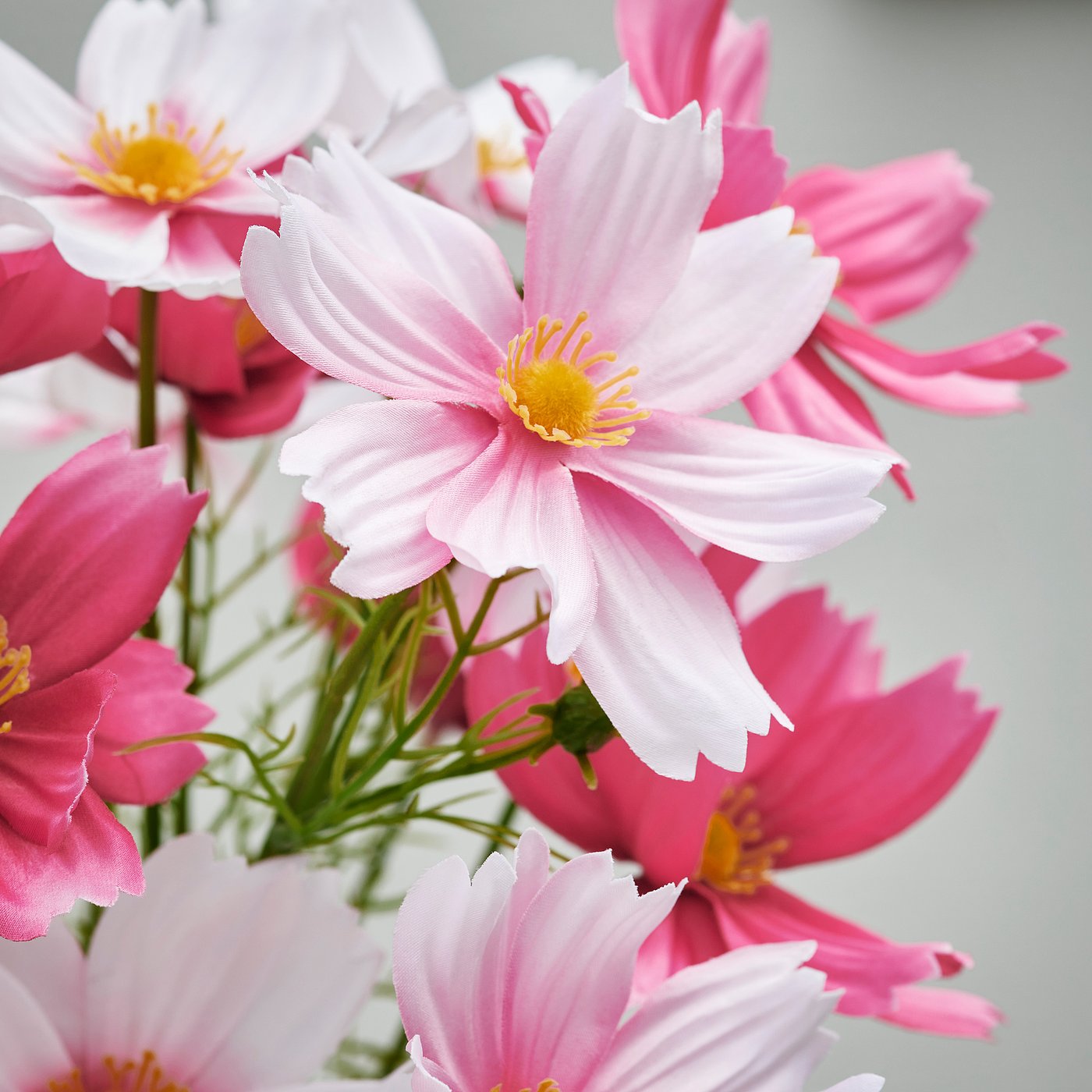 SMYCKA artificial bouquet, in/outdoor/cosmos pink, 50 cm