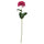 SMYCKA artificial flower, in/outdoor Chrysanthemums/dark pink, 55 cm