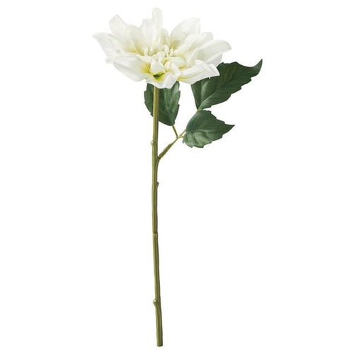 SMYCKA artificial flower, in/outdoor/Dahlia white, 30 cm