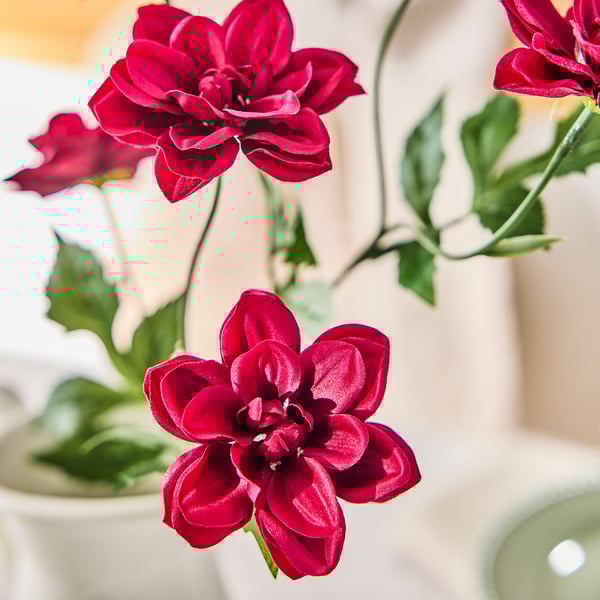 SMYCKA artificial flower, indoor/outdoor Dahlia/dark pink, 66 cm