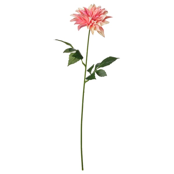 SMYCKA artificial flower, indoor/outdoor Dahlia/pink, 65 cm