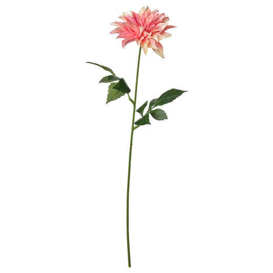 SMYCKA artificial flower, indoor/outdoor Dahlia/pink, 65 cm