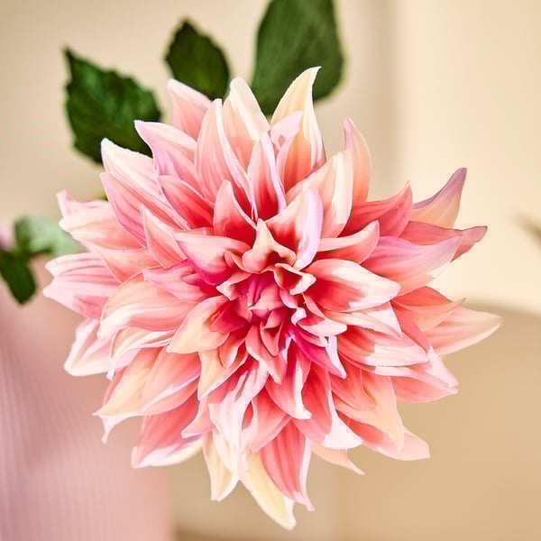SMYCKA artificial flower, indoor/outdoor Dahlia/pink, 65 cm