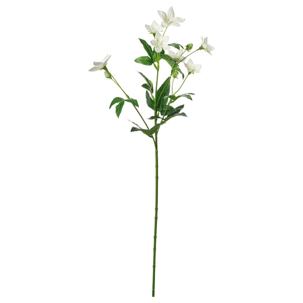SMYCKA artificial flower, indoor/outdoor Lisianthus/white, 60 cm