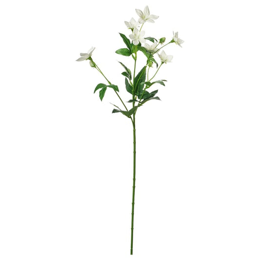 SMYCKA artificial flower, indoor/outdoor Lisianthus/white, 60 cm