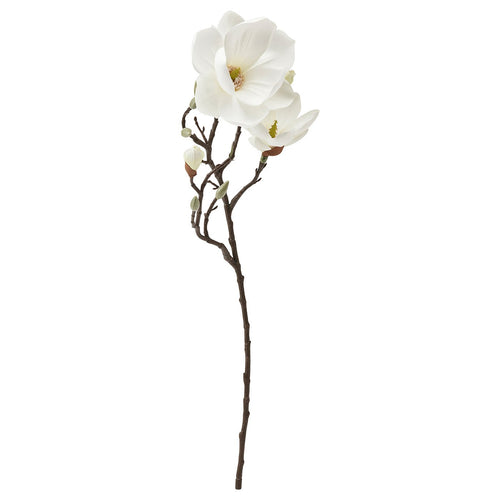 SMYCKA artificial flower, in/outdoor/magnolia white