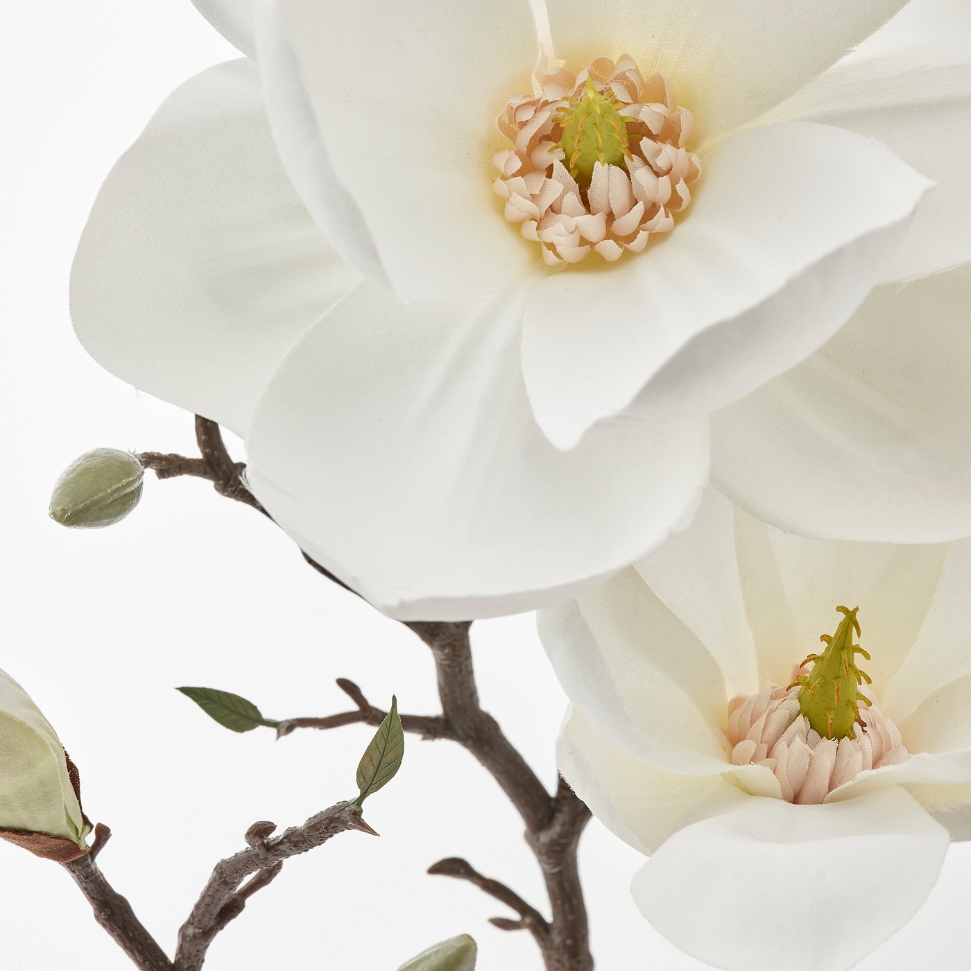 SMYCKA artificial flower, in/outdoor/magnolia white