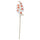 SMYCKA artificial flower, in/outdoor/Orchid white, 60 cm