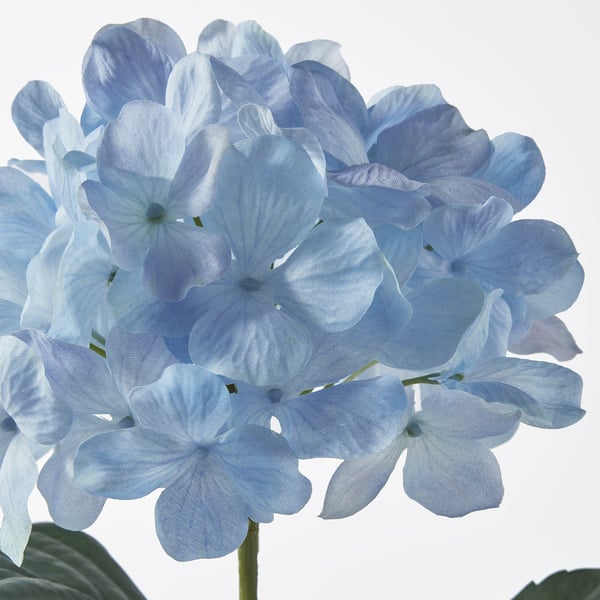 SMYCKA artificial flower, in/outdoor/Hydrangea light blue