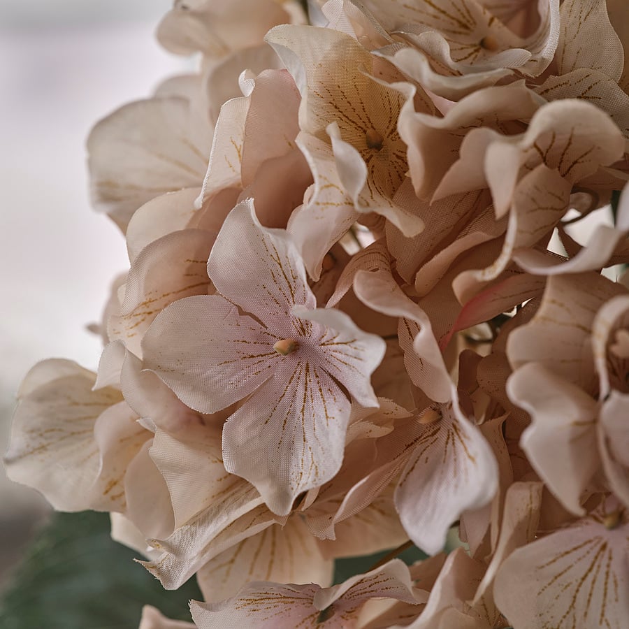 SMYCKA artificial flower, in/outdoor hydrangea/light beige, 75 cm