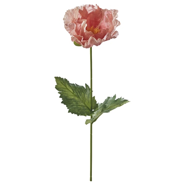 SMYCKA artificial flower, in/outdoor/Poppy orange