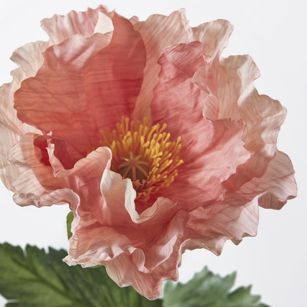 SMYCKA artificial flower, in/outdoor/Poppy orange