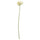 SMYCKA artificial flower, in/outdoor Poppy/white, 51 cm