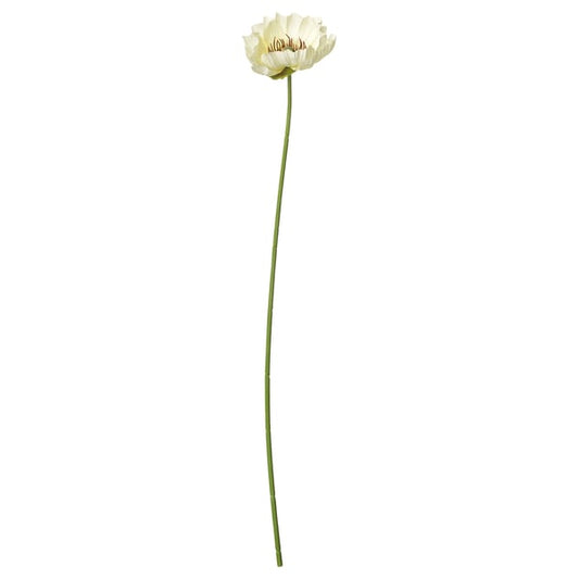 SMYCKA artificial flower, indoor/outdoor Poppy/white, 51 cm