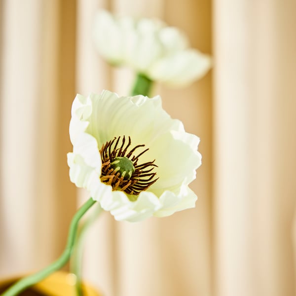 SMYCKA artificial flower, indoor/outdoor Poppy/white, 51 cm
