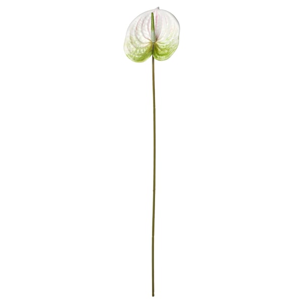 SMYCKA artificial flower, indoor/outdoor plant of araceas/white, 66 cm