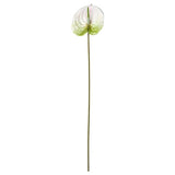 SMYCKA artificial flower, in/outdoor Flamingo plant/white, 66 cm