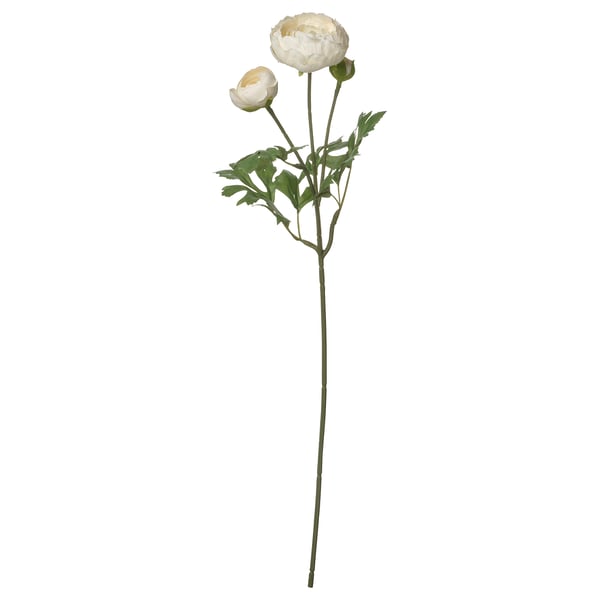 SMYCKA artificial flower, indoor/outdoor Ranunculus/white, 52 cm