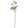 SMYCKA artificial flower, in/outdoor Ranunculus/white, 52 cm