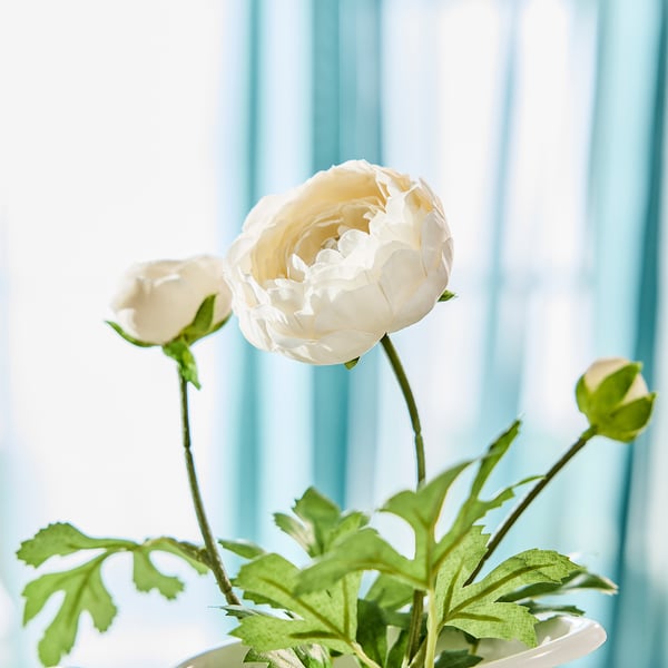 SMYCKA artificial flower, indoor/outdoor Ranunculus/white, 52 cm