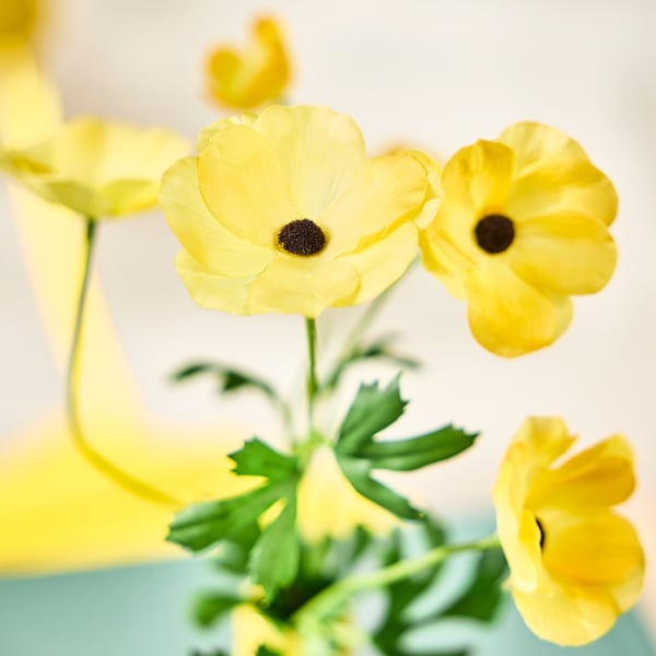 SMYCKA artificial flower, indoor/outdoor Ranunculus/yellow, 63 cm