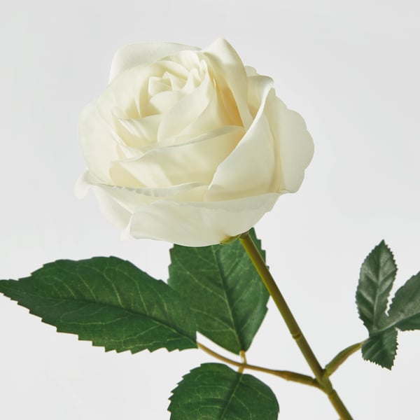 SMYCKA artificial flower, in/outdoor/Rose white, 40 cm
