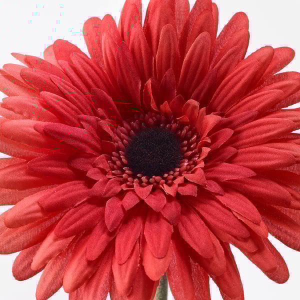 SMYCKA - Artificial flower, Gerbera/red, 50 cm