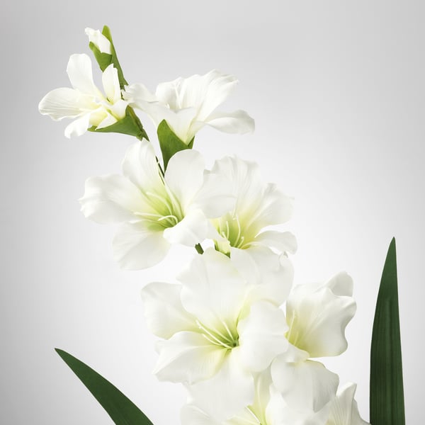 SMYCKA artificial flower, Gladiolus/white, 100 cm