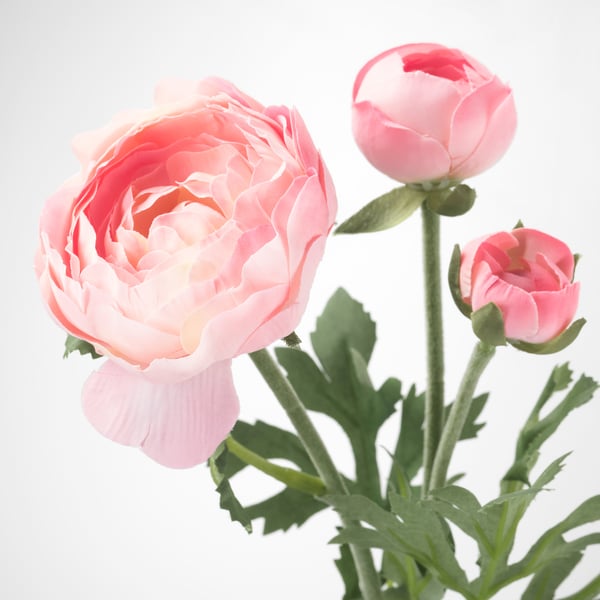 SMYCKA artificial flower, Ranunculus/pink, 52 cm