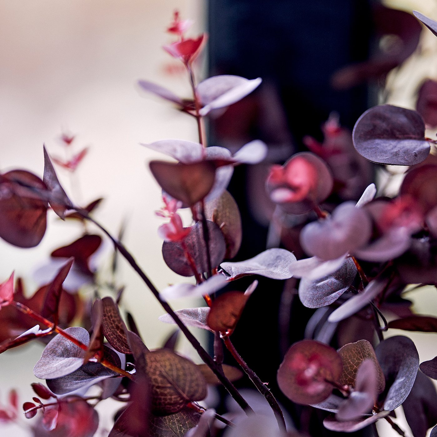 SMYCKA artificial leaf, in/outdoor eucalyptus/red, 75 cm