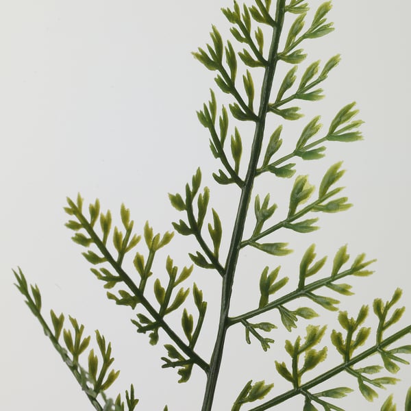SMYCKA artificial leaf, in/outdoor/fern green, 53 cm