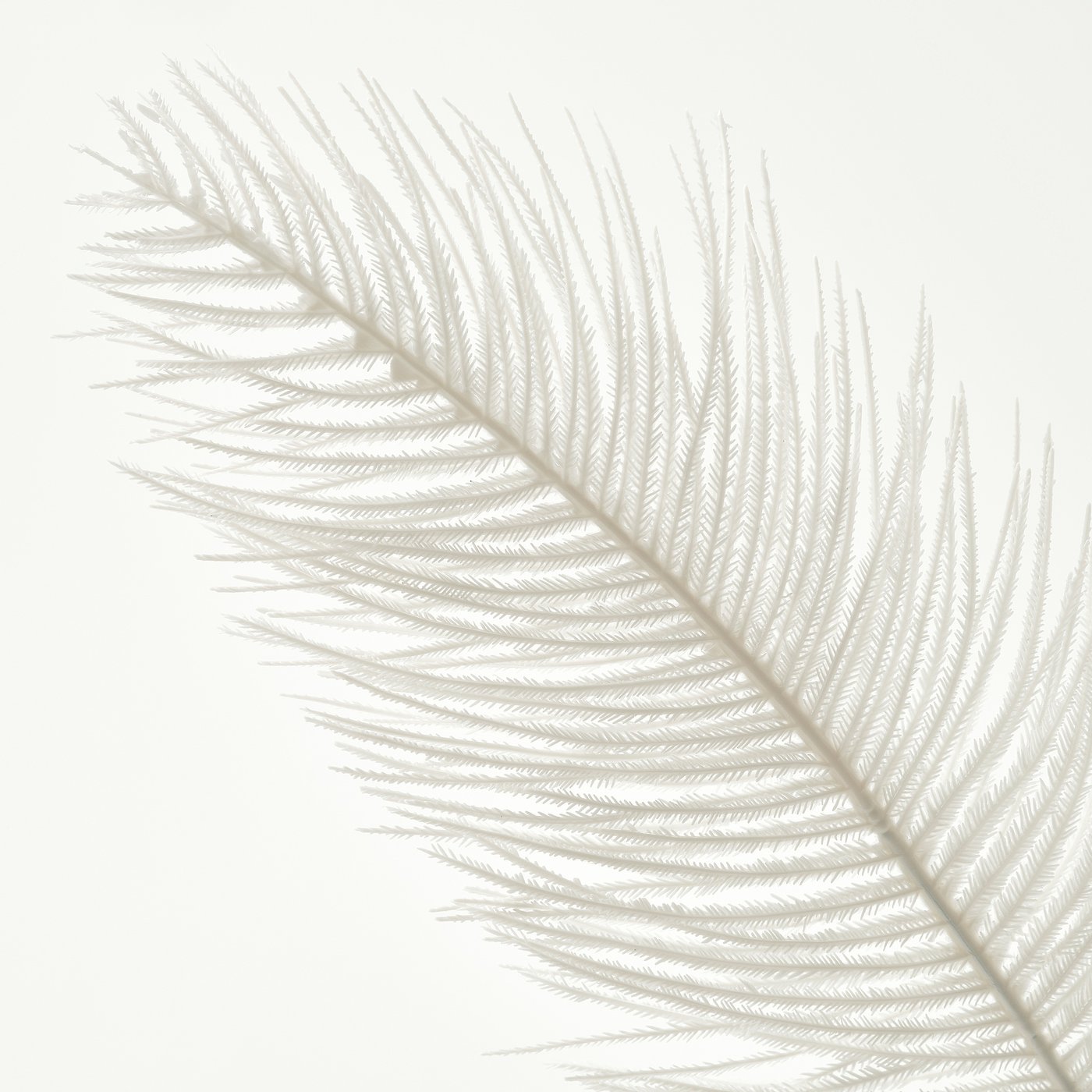 SMYCKA artificial spray, in/outdoor/beige, 65 cm