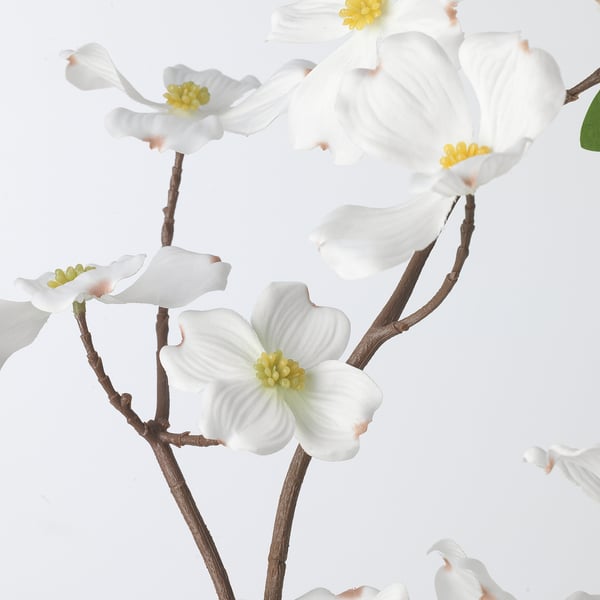 SMYCKA artificial spray, in/outdoor/Dogwood white, 100 cm