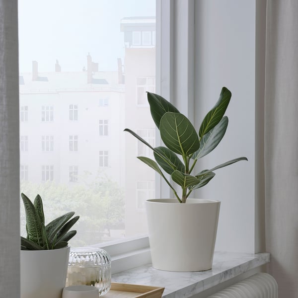 SOJABÖNA - SOJABÖNA Plant pot, white, 15 cm