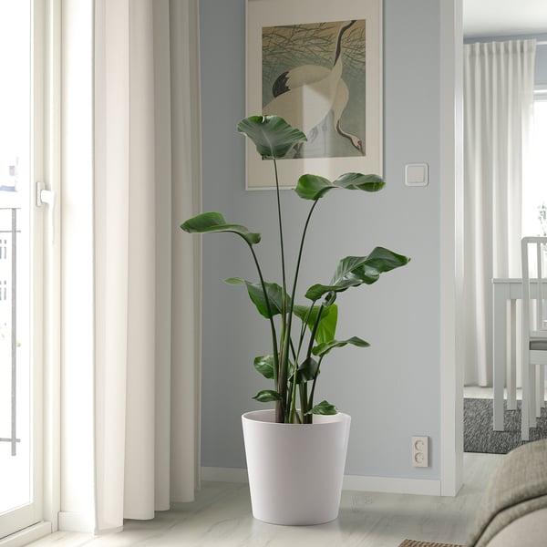 SOJABÖNA plant pot, white, 32 cm