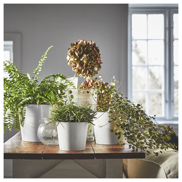 SOJABÖNA plant pot, white, 15 cm