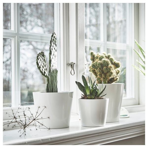SOJABÖNA plant pot, white, 12 cm