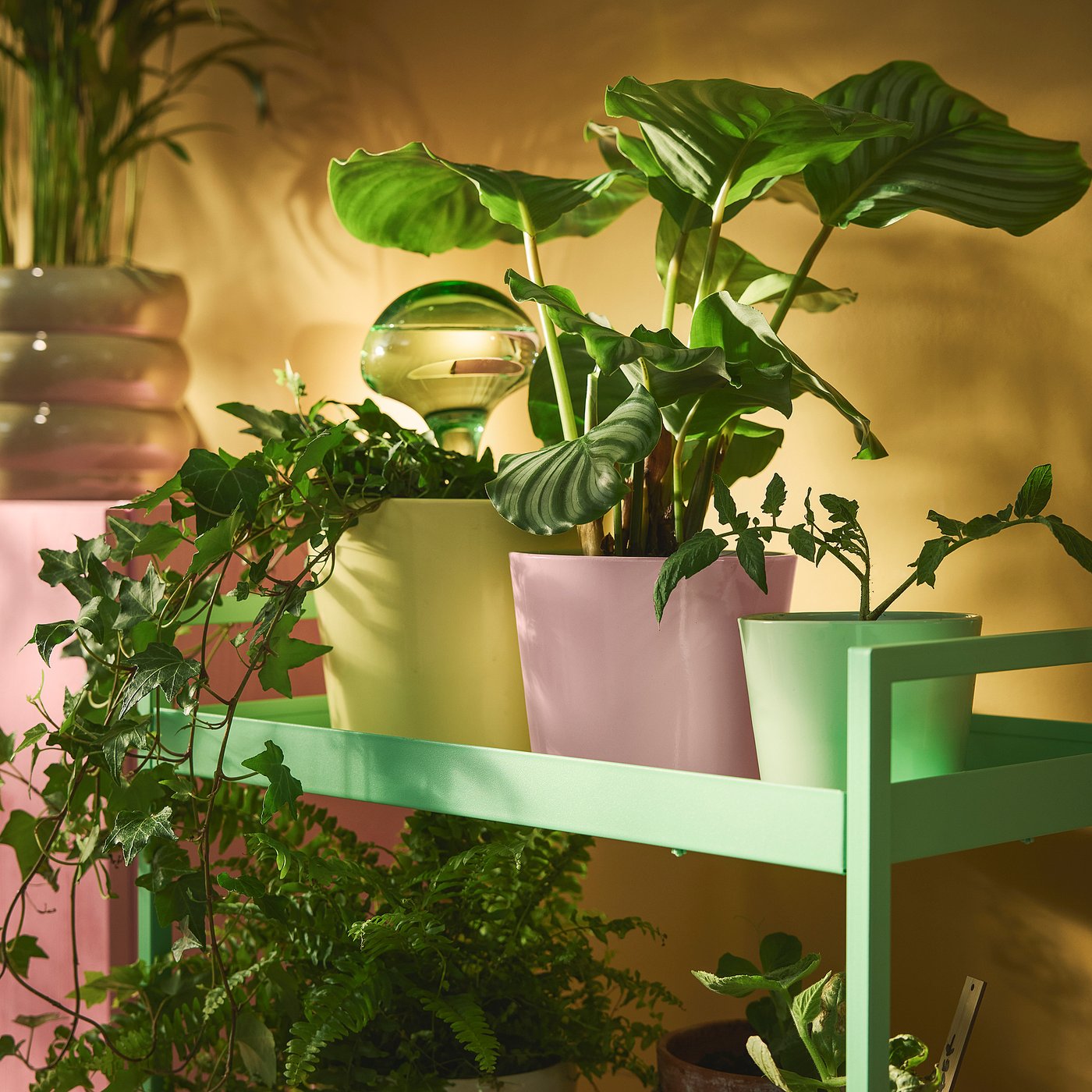 SOJABÖNA plant pot, light yellow, 17 cm