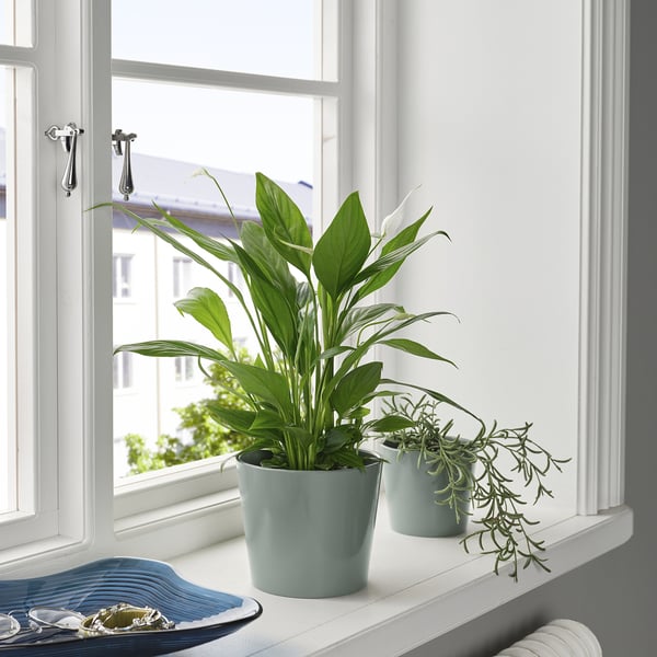 SOJABÖNA plant pot, grey/green