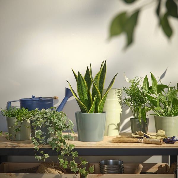 SOJABÖNA plant pot, grey/green