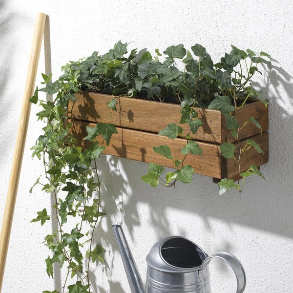 STJÄRNANIS flower box, outdoor acacia, 43x15 cm