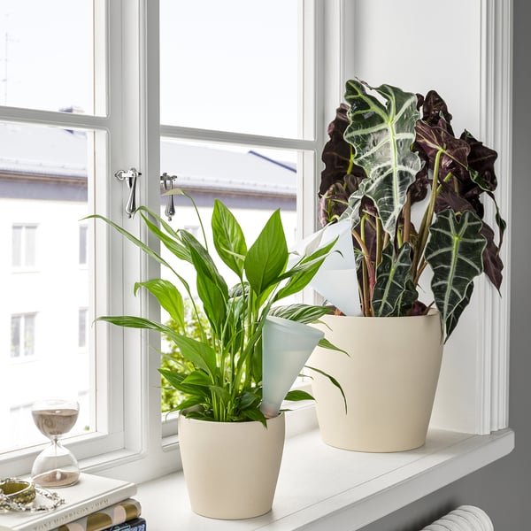 SVÄMSKOG - SVÄMSKOG Self-watering insert, terracotta/transparent, 25 cl