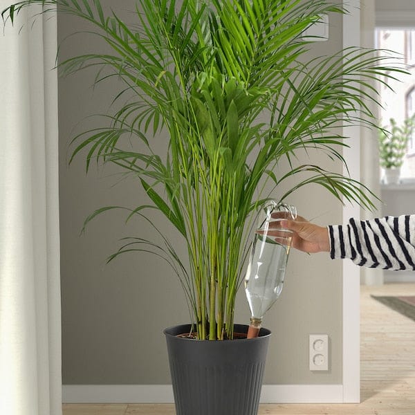 Ikea SVÄMSKOG - Automatic watering dispenser, terracotta/transparent,70 cl