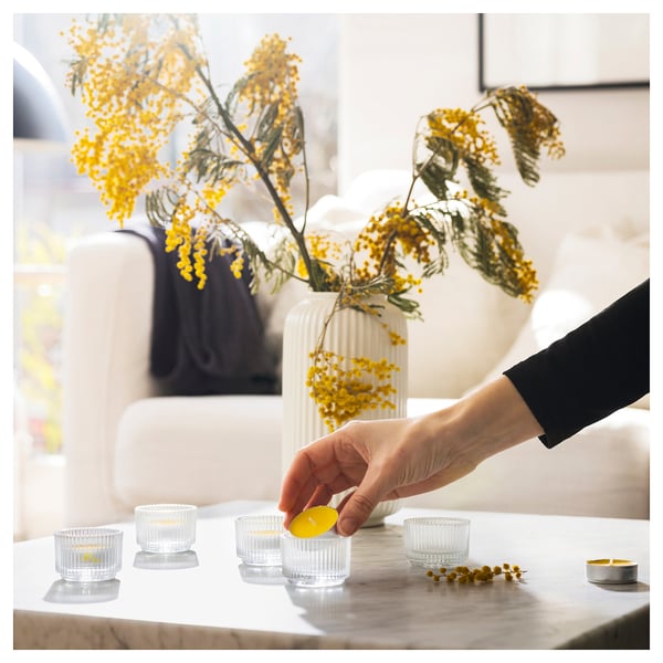 SVARTOXBÄR scented tealight, Mimosa/yellow, 3.8 cm, 30 pack