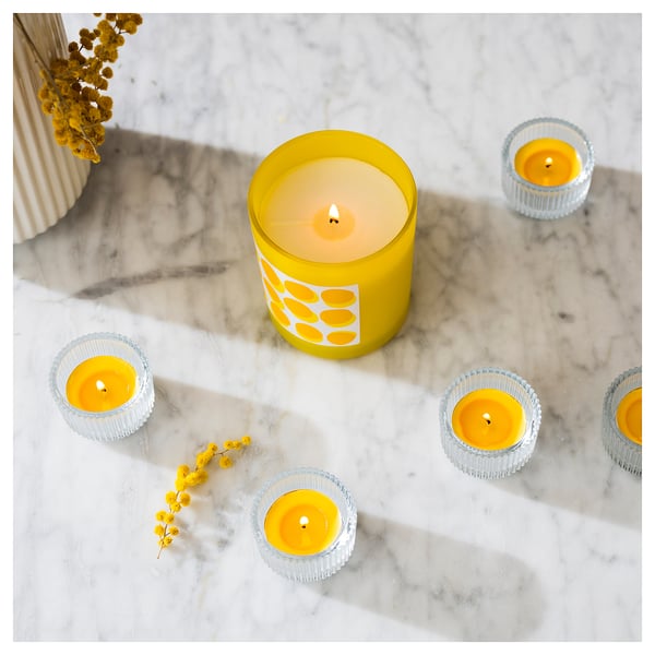 SVARTOXBÄR scented tealight, Mimosa/yellow, 3.8 cm, 30 pack