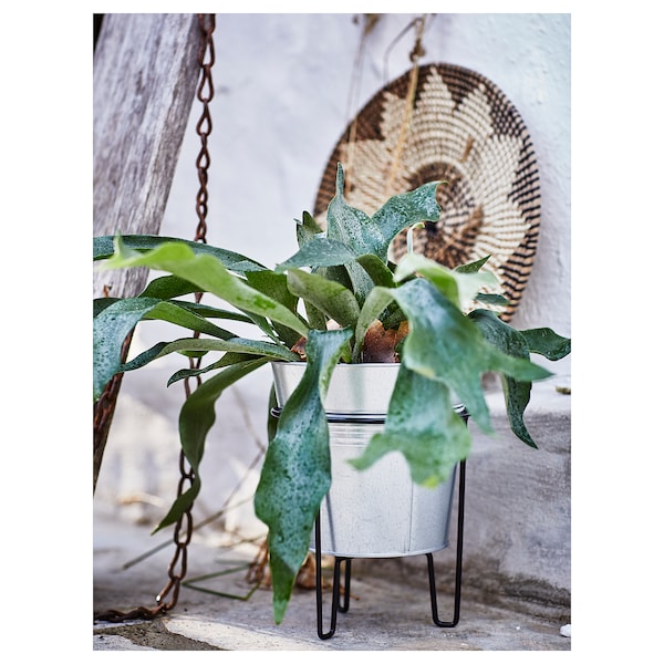 SVARTPEPPAR - Plant stand, in/outdoor black, 21 cm