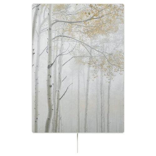 SYMFONISK - Frame panel with case, trees in the fog