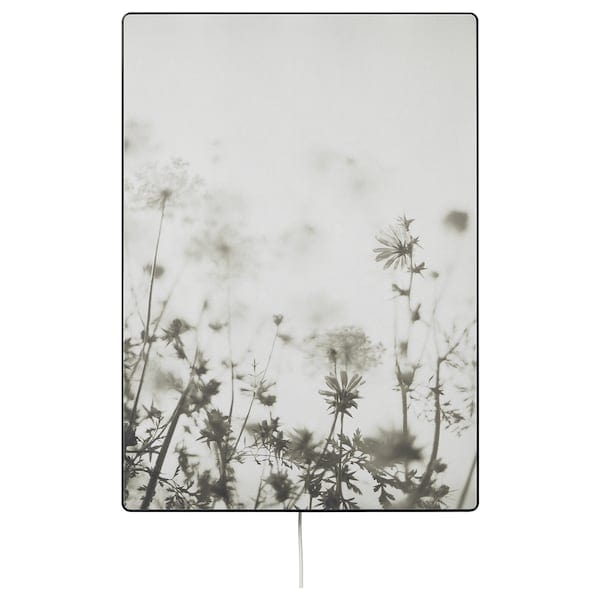 Ikea SYMFONISK - Frame panel with case, meadow with fog