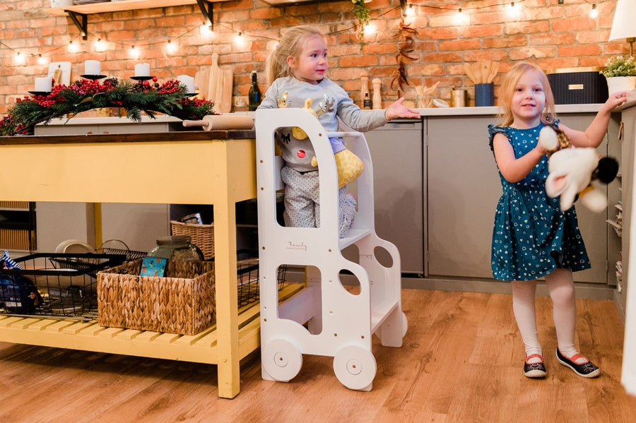 Changing Height Car Step Stool